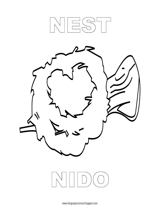 Dibujos Inglés - Español con N: Nido - Nest