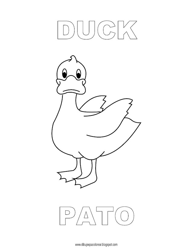 Dibujos Inglés - Español con P: Duck - Pato
