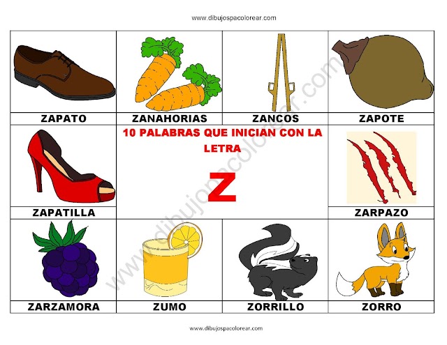 10 palabras u objetos que inician con la letra Z