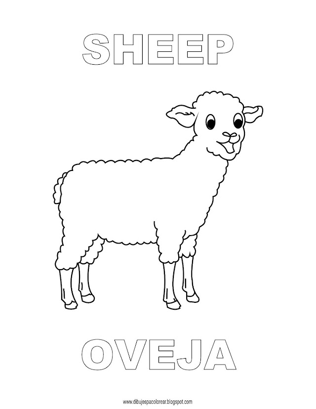 Dibujos Inglés - Español con O: Oveja - Sheep