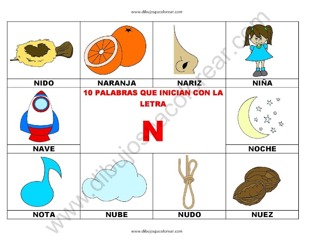 10 palabras u objetos que inician con la letra N