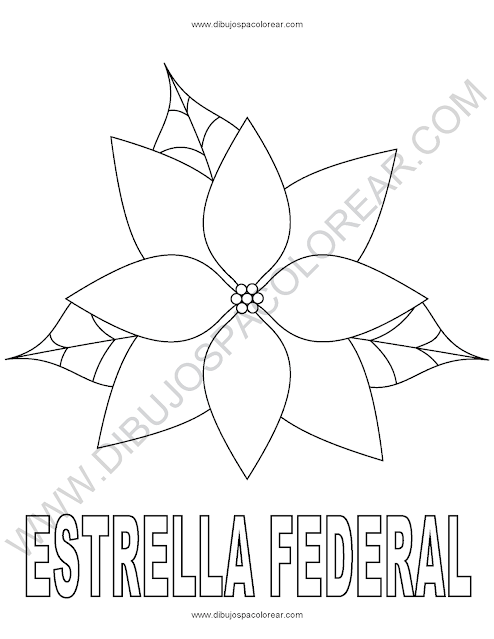Estrella Federal