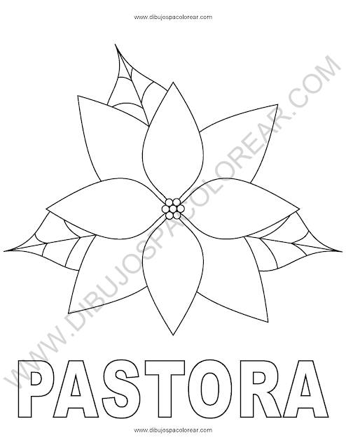 Pastora