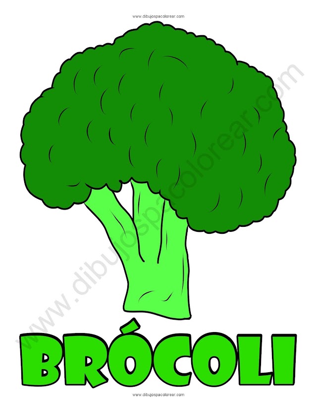 brócoli dibujo a color o para colorear
