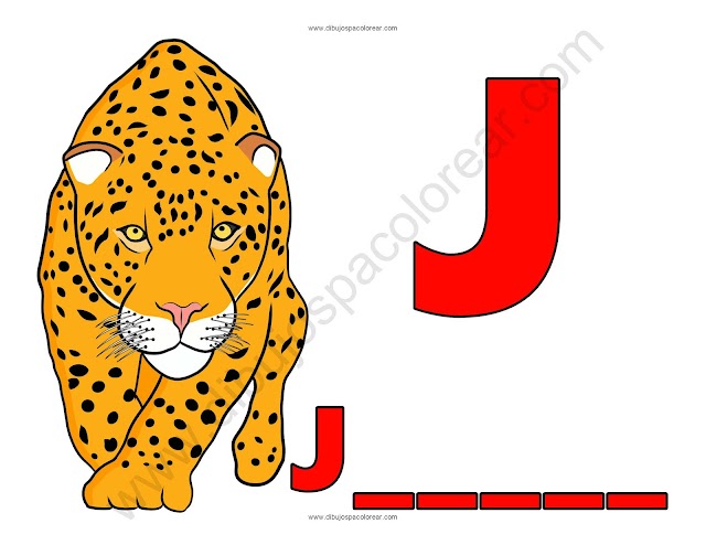 Jaguar letra J abecedario dibujo a color y para colorear