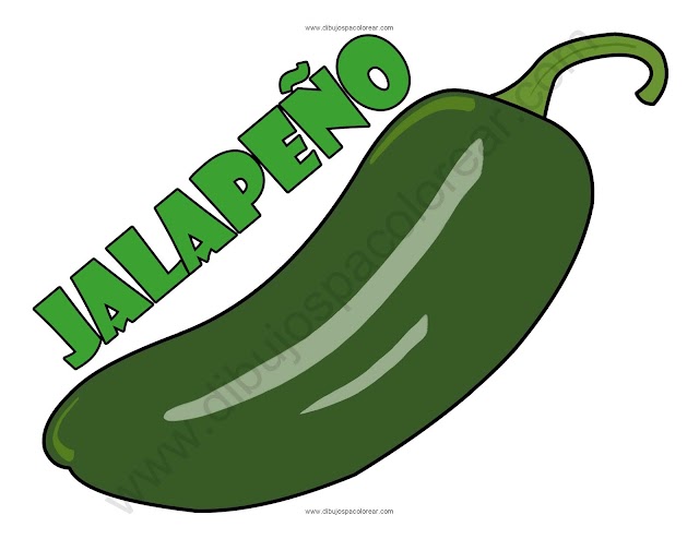 Jalapeño dibujo a color y para colorear