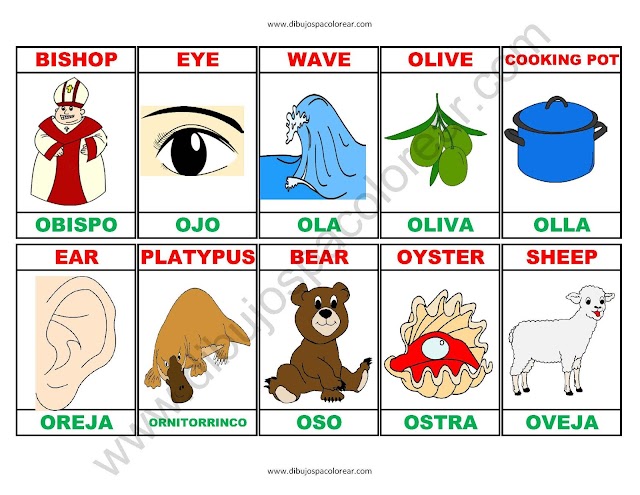 Memorama a color Español - Ingles de la letra O