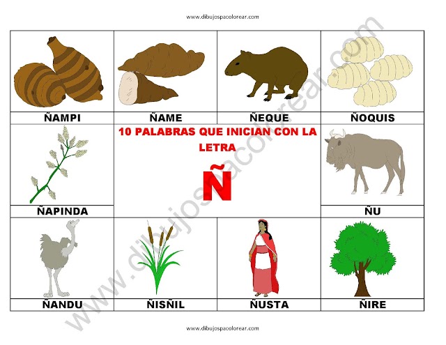 10 palabras u objetos que inician con la letra Ñ