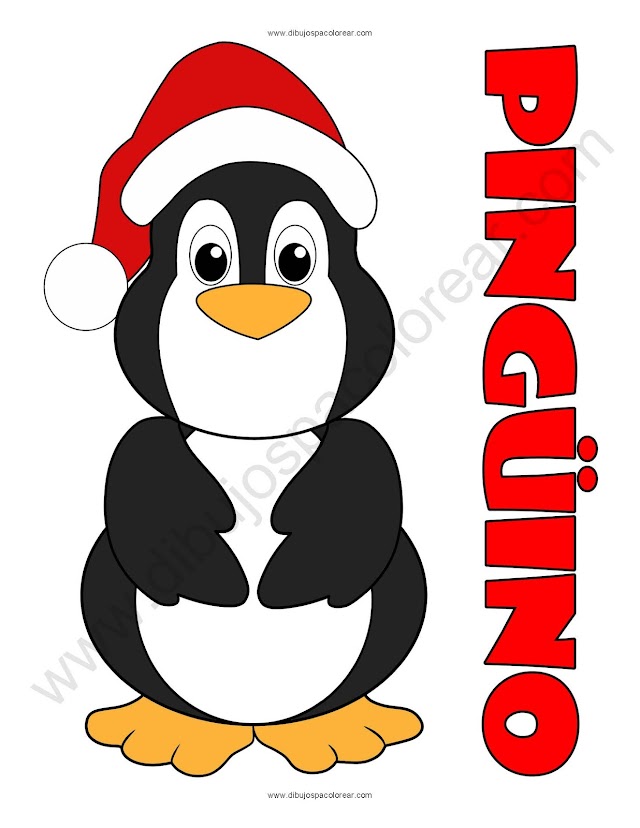 Pingüino Navidad Temporada navideña Dibujo a color y para colorear