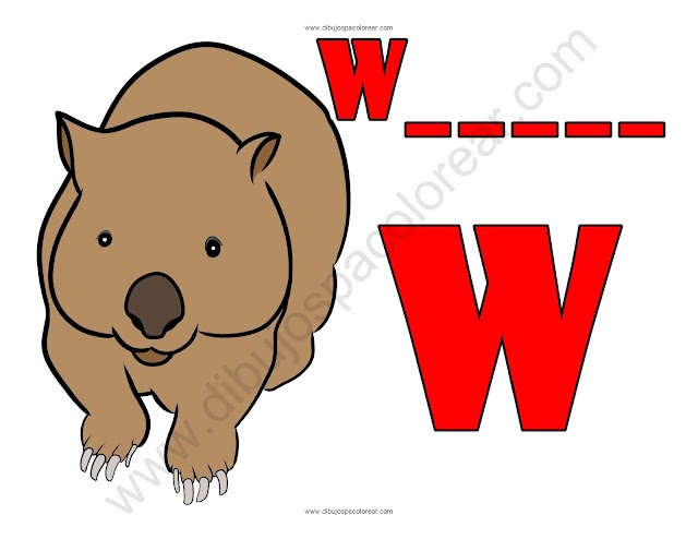 Wombat letra W abecedario dibujo a color y para colorear