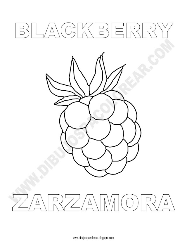 Dibujos Inglés - Español con Z: Zarzamora - Blackberry